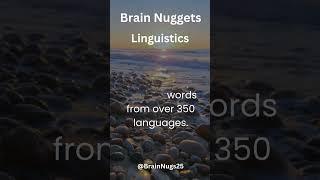 Brain Nugget - Linguistics