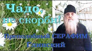 ЧАДО, НЕ СКОРБИ! Преподобный СЕРАФИМ Глинский (Романцов). Редчайшие кадры