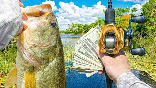 Fishing The First SUMMER Bass Tournament  - Will We Win?