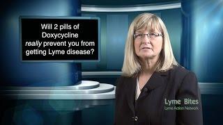 Will 2 Pills Prevent Lyme Disease?