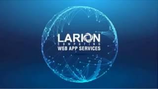 LARION Web Application Development Services