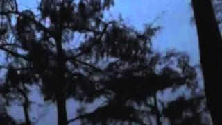 Hurricane Wilma 10-18-2005