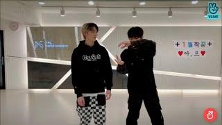 P1Harmony JIUNG & INTAK doing Freestyle Dances (210118 VLIVE)