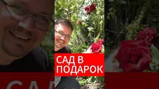 ДОМ С ГОТОВЫМ САДОМ! ЕСТЬ ВСЕ! ЛЕГКИЙ ПЕРЕЕЗД В КРАСНОДАР. #готовыйдом #домвкраснодаре