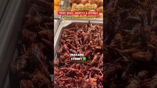 Fried Bugs, Insects & Worms in Sydney #sydney #sydneyfood #sydneyfoodie #sydneyfoodies #sydneyeats