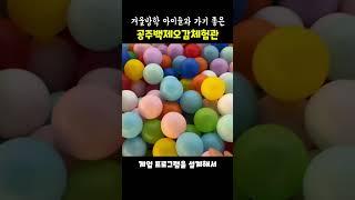 아이와 같이 가기 좋은 공주 백제오감체험관!