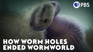 How Worm Holes Ended Wormworld