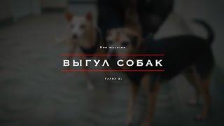 Работа в США по туристической визе