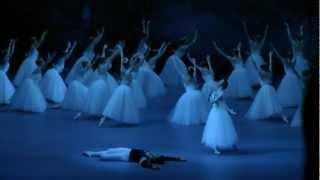 Евгения Образцова Николай Цискаридзе балет Жизель Evgenia Obraztsova Nikolay Tsiskaridze in Giselle