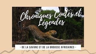 Chroniques Contes et Légendes de la Savane et de la Brousse Africaines - T. Crocetta & M. Pettineo