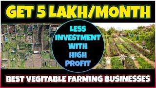 Most Profitable Vegetable Farming Business Ideas | Best Low Budget with High-Profit Business Plans