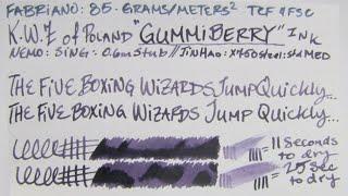 Ink Review: K.W.Z. Iron-Gall "Gummiberry" Ink