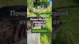 Почему Абу талиб отказался от ислама ? | #quran #религия #ислам