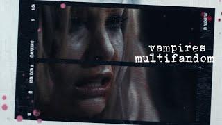 ▫️vampires 《чувство вины》