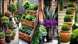 Brilliant Container Gardening Ideas: Grow a Stunning Garden Anywhere!