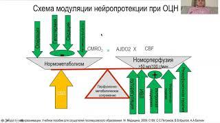 Андрей Белкин: острая церебральная недостаточность / journal_vit