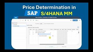 How Price Determination Works in SAP S/4HANA MM – Full Step-by-Step Configuration Guide!