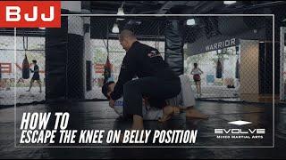 BJJ | How To Escape The Knee On Belly Position