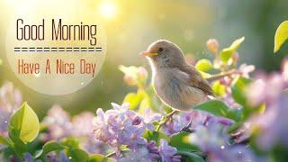 PEACEFUL MORNING MUSIC - Wake Up Happy & Motivational Vibes - Morning Meditation Music to Relaxation