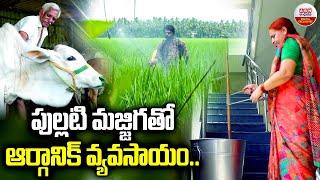 పుల్లటి మజ్జిగతో ఆర్గానిక్ వ్యవసాయం | Special Story On Organic Farming With Butter Milk In Eluru