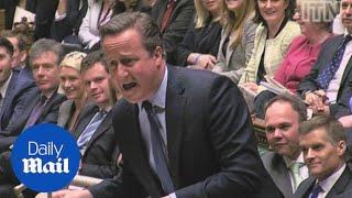 PMQs: Cameron and Corbyn exchange 'motherly advice' in commons - Daily Mail