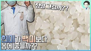 현미가 정말 백미보다 몸에 좋을까? | 현미 vs 백미 (현직의사가 알려주는 승부 결과는?)