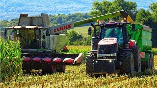 MLÁTENIE KUKUKRICE 2022/CLAAS LEXION 740/GERINGHOFF 12 rows/ ORAGRO s.r.o.