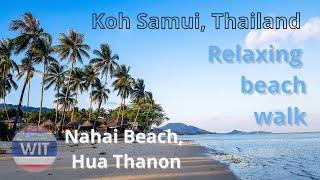 Relaxing beach walk on Nahai Beach in Hua Thanon, Koh Samui