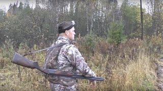 Охота на вальдшнепа. Осень 2018