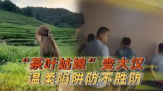 大汉装“茶叶女”卖惨，套路敛财30万，为何哭诉自己才是受害者？