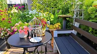 A Very Peaceful and Relaxing Tiny Garden Tour | Plants Flowers Birds Pollinators #garden #new