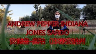 ANDREW PEPPER |  咏春自卫撒丁岛  WING CHUN  DIFESA PERSONALE