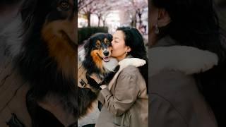 The last 3 are my fave  #dogphotography #australianshepherd
