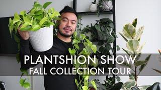 Indoor Plant Tour - Fall 2020 | Houseplant Collection Growth Updates