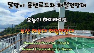 [Korea 한국] 오랜만에 해운대 문탠로드와 새로 개장한 해월전망대 걷기 Haeundae Moontan Road & Haewol Observatory in Busan 