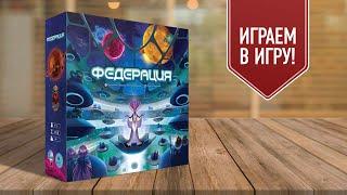 ФЕДЕРАЦИЯ (FEDERATION) | играем в настольную игру | неординарная евростратегия