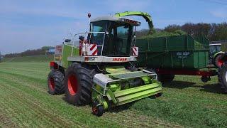 Claas Jaguar 880