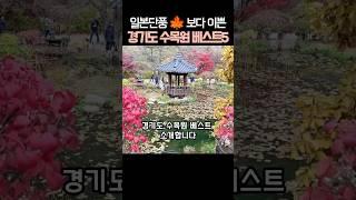 일본 단풍 보다 이쁜 경기도 수목원 단풍 탑5 #경기도여행 #서울근교여행