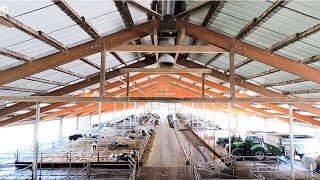 360°: So sieht's auf einem großen Milchbauernhof aus