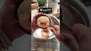 This Almost NEVER happens!!! #coconut