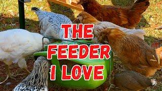 The Best Chicken Feeders and Waterers for Backyard Chickens!