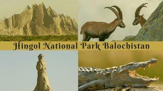 Wildlife and Wonders of Hingol National Park Balochistan , Pakistan |  Pakistan Wildlife