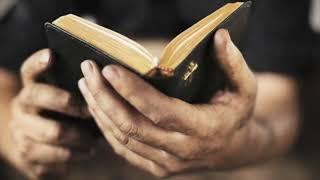 Here's What People Need To Know About Man Living To 1000 | The Bible's History is TRUE History