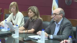 Plenario de Consejeros del Consejo de la Magistratura CABA 23/05/18