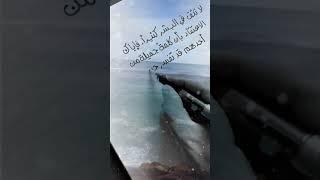 لا تثق في البشر كثيرا #اقنباسات #حكم ##حكمة_اليوم #خواطر #اقوال #الحياة #كلام_من_ذهب #اكسبلور #حكمة