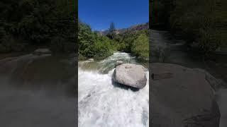 Raging Kaweah River in Sequoia National Park! #shorts #river #hiking #sequoianationalpark