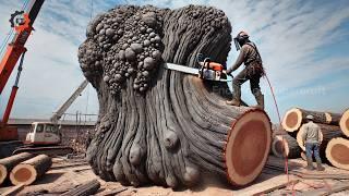 The Greatest Wood Cutting And Sawing Factory Do You Think This Tree Is 6000 Years Old?