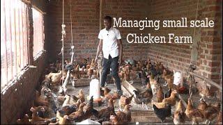 Chicken Farming - How To Manage A Small Scale Poultry Farm.