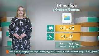 Погода в Старом Осколе на 14 ноября