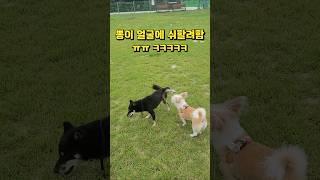 자존심도 없는 딸래미